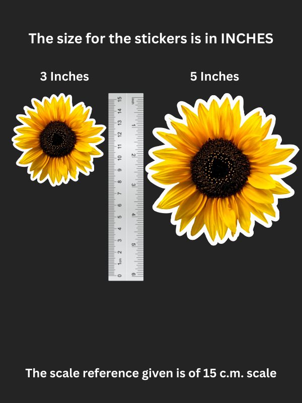 Sun Pop – Iron on Patch – Wonder Bloom