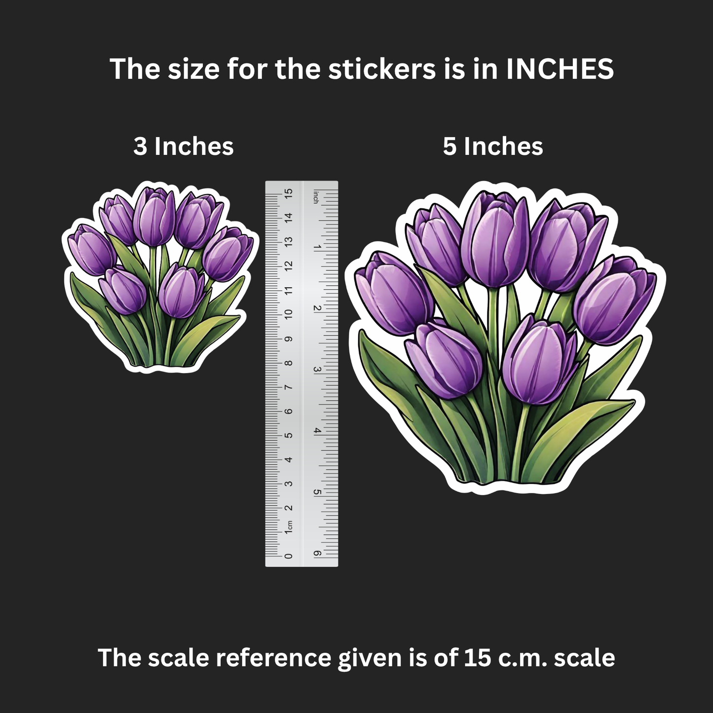 Tulip Tease – Iron on Patch – Wonder Bloom