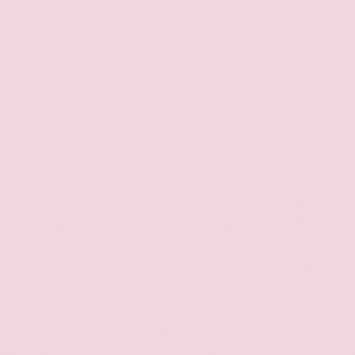Delulu Bundle