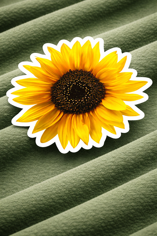 Sun Pop – Iron on Patch – Wonder Bloom