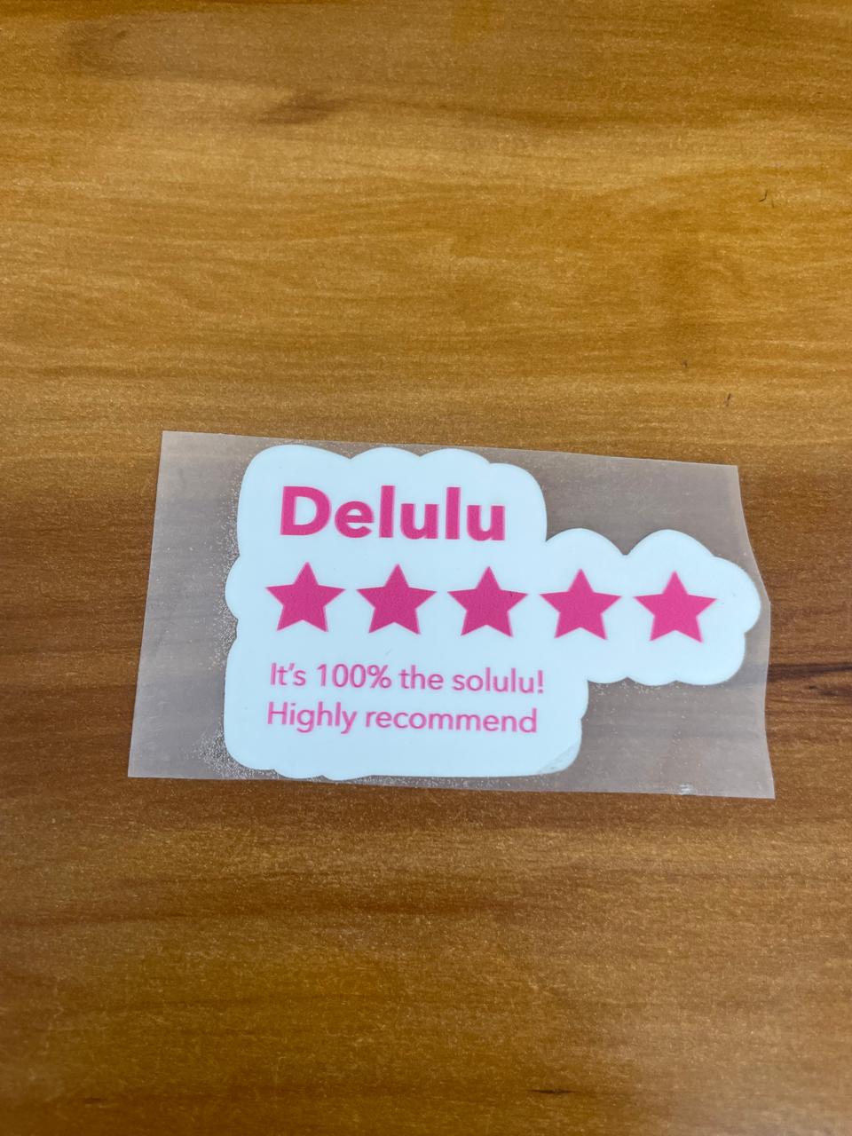 Delulu-100_ Solulu - Iron on Patch - Delulu